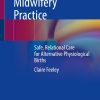 Skilled Heartfelt Midwifery Practice (EPUB)
