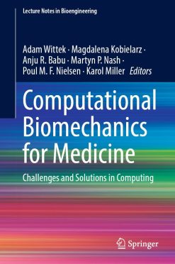Computational Biomechanics for Medicine: Challenges and Solutions in Computing (Original PDF from Publisher)