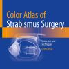 Color Atlas Of Strabismus Surgery: Strategies and Techniques, 2025th Edition (Original PDF from Publisher)