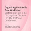 Organising the Health Care Workforce: Strategic Responses to the Challenges and Dilemmas Faced by Health and Care Services (Organizational Behaviour in Healthcare) (EPUB)
