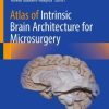 Atlas of Intrinsic Brain Architecture for Microsurgery (EPUB)