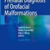 Prenatal Diagnosis of Orofacial Malformations, 2025th Edition (Original PDF from Publisher)