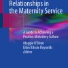Respectful Relationships in the Maternity Service (EPUB)