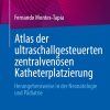 Atlas der ultraschallgesteuerten zentralvenosen Katheterplatzierung: Herangehensweise in der Neonatologie und Padiatrie (EPUB)