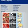 Atlas of Acoustic Neurinoma Microsurgery, 2nd Edition