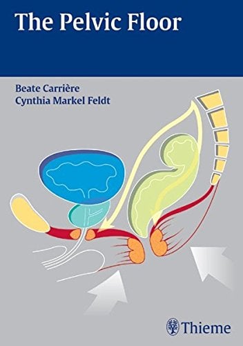 The Pelvic Floor
