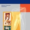 Endodontology (Color Atlas of Dental Medicine series)
