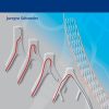 Peripheral Vascular Interventions: An Illustrated Manual (Original PDF from Publisher)