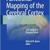 Functional Mapping of the Cerebral Cortex: Safe Surgery in Eloquent Brain (EPUB)