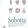 Sobotta Tables of Muscles, Joints and Nerves (Original PDF from Publisher)