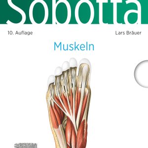 Sobotta Lernkarten Muskeln, 10th Edition (Original PDF from Publisher)