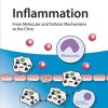 Inflammation, 4 Volume Set: From Molecular and Cellular Mechanisms to the Clinic (PDF)