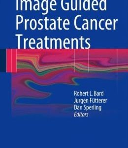 Image Guided Prostate Cancer Treatments