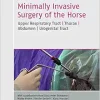 Minimally Invasive Surgery of the Horse: Upper Respiratory Tract, Thorax, Abdomen, Urogenital Tract (Original PDF from Publisher)