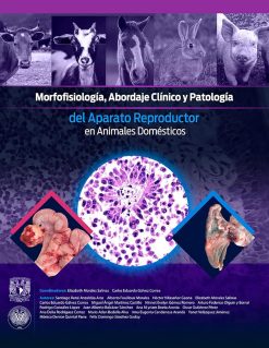 Morfofisiología, abordaje clínico y patología del aparato reproductor en animales domésticos (Spanish Edition) (EPUB)