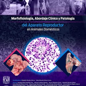 Morfofisiología, abordaje clínico y patología del aparato reproductor en animales domésticos (Spanish Edition) (EPUB)