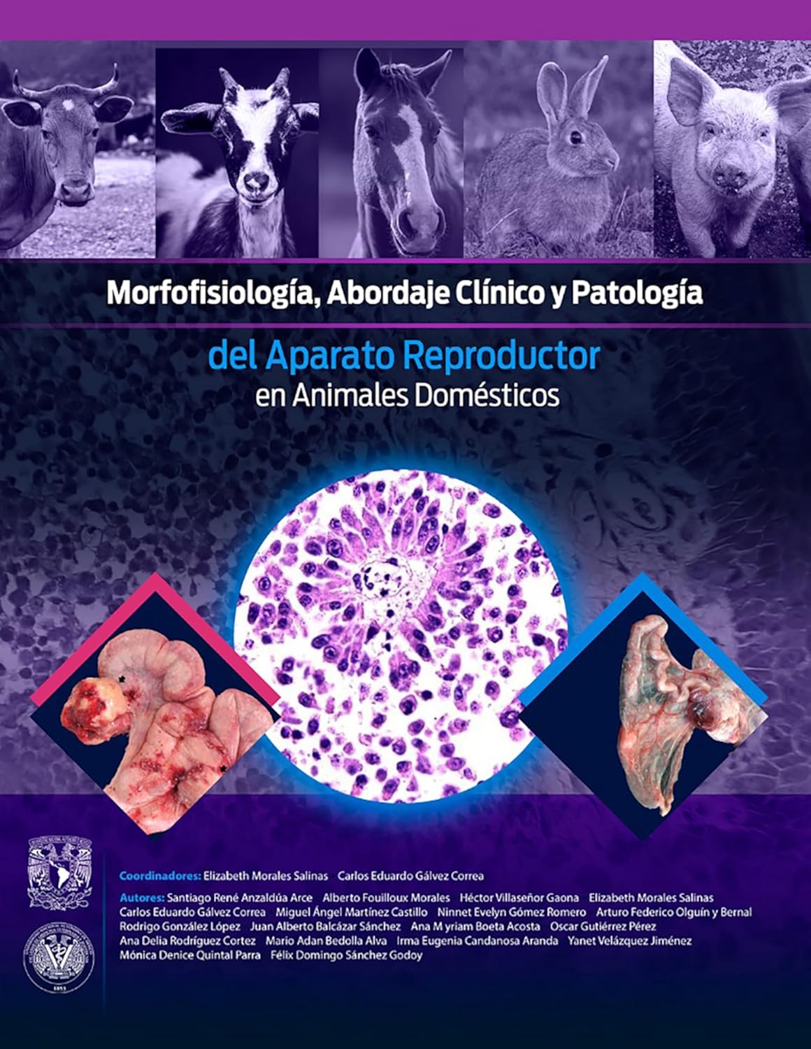 Morfofisiología, abordaje clínico y patología del aparato reproductor en animales domésticos (Spanish Edition) (EPUB)