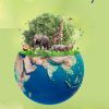 Biodiversity (Original PDF from Publisher)