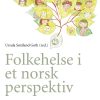 Folkehelse i et norsk perspektiv (EPUB)