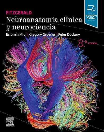 Fitzgerald. Neuroanatomía clínica y neurociencia, 8th edition (Original PDF from Publisher)