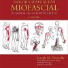 Travell, Simons & Simons. Dolor y disfunción miofascial: El manual de los puntos gatillo, 3rd Edition (Spanish Edition) (High Quality Image PDF)