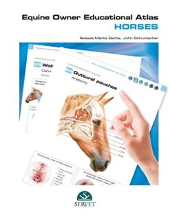 Equine Owner Educational Atlas. Horses (EPUB)
