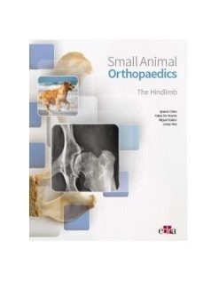 Small animal orthopaedics. The hindlimb (EPUB)