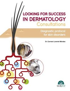 Looking for Success in Dermatology Consultations. Diagnostic Protocol for Skin Disorders (EPUB)