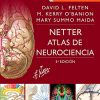 Netter. Atlas de neurociencia (3ª ed.) (Spanish Edition) (Original PDF from Publisher)