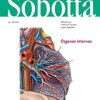 Sobotta. Atlas de anatomía humana vol 2 (24ª ed.): Órganos internos (Original PDF from Publisher)