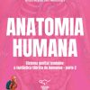 Anatomia humana: Sistema genital feminino: a fantástica fábrica de humanos: parte 2 (Portuguese Edition) (EPUB)