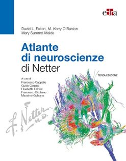 Atlante di neuroscienze di Netter (EPUB)