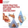 Good Practice and malpractice in labor and delivery (ePub)