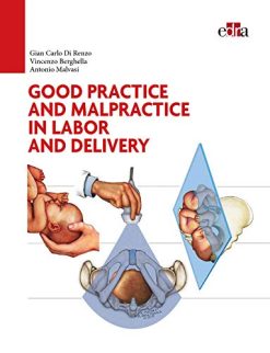 Good Practice and malpractice in labor and delivery (ePub)