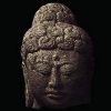 Idea of Consciousness: Synapses and the Mind (Original PDF from Publisher)