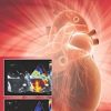 Manual Of Cardiac Diagnosis (Original PDF from Publisher)