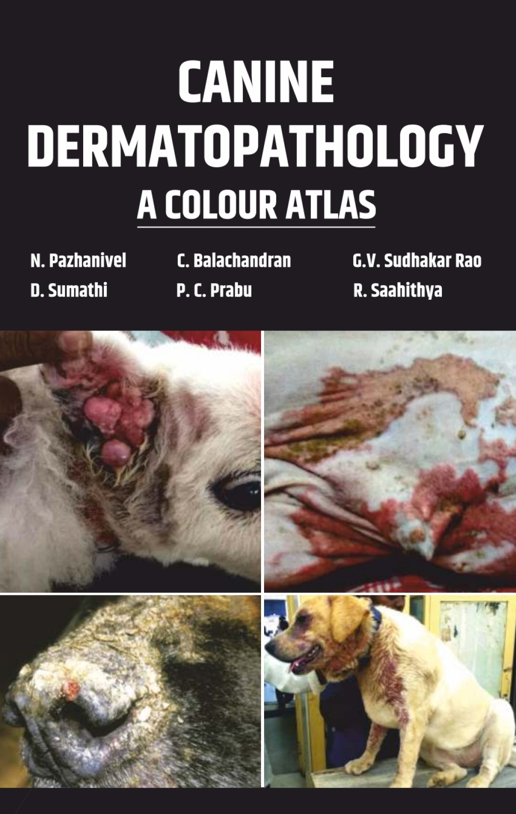Canine Dermatopathology: A Colour Atlas (Original PDF from Publisher)