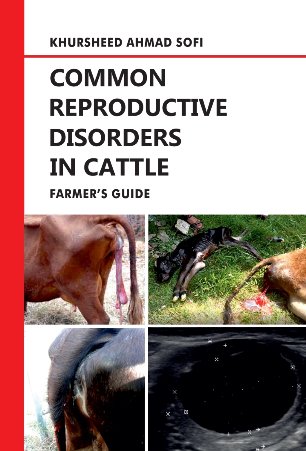 Common Reproductive Disorders in Cattle: Farmer’s Guide (Original PDF from Publisher)