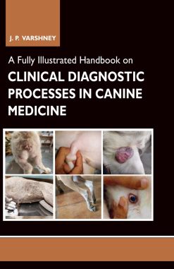 A Fully Illustrated Handbook on Clinical Diagnostic Processes in Canine Medicine (Original PDF from Publisher)