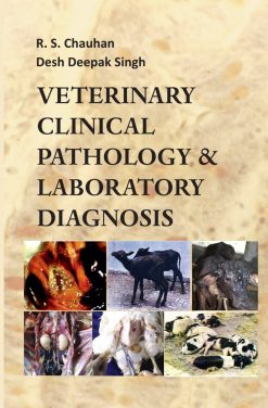 Veterinary Clinical Pathology and Laboratory Diagnosis (Original PDF from Publisher)