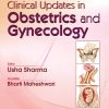 Clinical Updates in Obstetrics and Gynecology (EPUB)