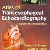 Atlas of Transesophageal Echocardiography A Beginner’s Perspective: A Beginners Perspective, 2nd Edition (EPUB)