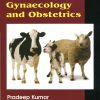 Applied Veterinary Gynaecology and Obstetrics (Original PDF from Publisher)