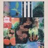Biotechnology For Fruit Crop Improvement (Original PDF from Publisher)