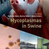 Mycoplasmas in Swine (Original PDF from Publisher)