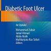 Diabetic Foot Ulcer: An Update (Original PDF from Publisher)