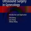 Focused Ultrasound Surgery in Gynecology: Introduction and Application (Original PDF from Publisher)