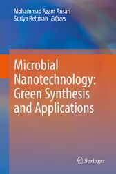 Microbial Nanotechnology: Green Synthesis and Applications (Original PDF from Publisher)