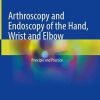 Arthroscopy and Endoscopy of the Hand, Wrist and Elbow: Principle and Practice (Original PDF from Publisher)