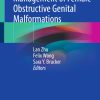 Diagnosis and Management of Female Obstructive Genital Malformations, 2024th Edition (Original PDF from Publisher)